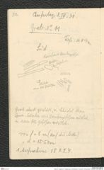 Seite 33, Tagebuch "Umgebung von Mistelbach | Poysdorf | Schanzleiten" (NHMW-PRAE-BBB-25)